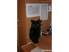 ����� � ��� �������� :-)