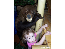 ����� ����� �����������