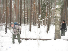 ������� � �������