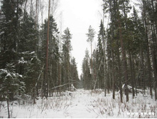 �������...