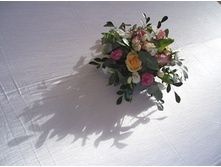 ���������� 009