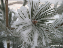 ��� "�����"