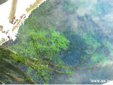 ����� ������� ����