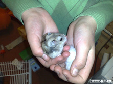 � ��� ����� �������!��� ��� ����������, ����� ��������)) 