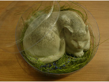 �������� 30.JPG