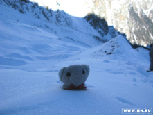 ����� �� �� ����... ���� ����� ����.