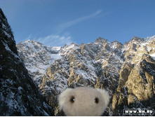 ��� �����?