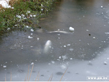 ���������� ������.������ ������.