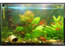 ��� �������� (80�)