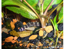 ��������������