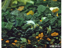 ���-�� ����������� �������� :)