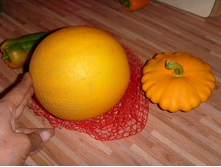 ������ � ����������.JPG