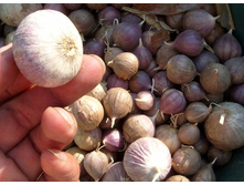 ������ ��������� �� �����.jpg