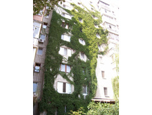 ���� 040.jpg