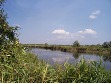 ���� 042.jpg