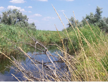 ���� 050.jpg