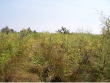 ���� 053.jpg