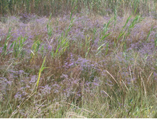 ���� 055.jpg