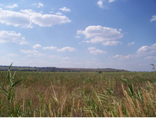 ���� 066.jpg