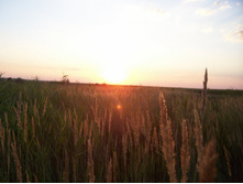 ���� 070.jpg