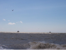 ���� 088.jpg