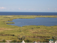 ���� 115.jpg