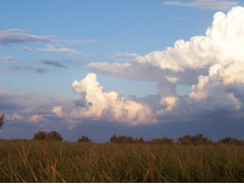 ���� 134.jpg