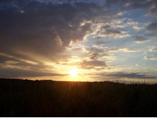 ���� 136.jpg