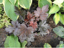 ���������� �������� ������