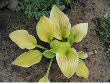 ����� ����� ����� ��-��-��.JPG