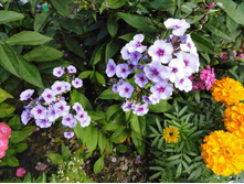 ����� ���� ����� ���.JPG