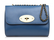 DELICE  ( ���. B00232 (blue)  )