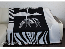zebra chb.jpg