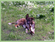 ����� � �����