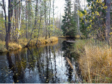 �.������ � ������ ��.��������