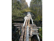 ���� ����� �.������