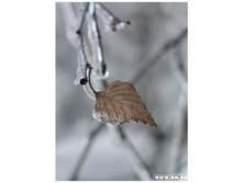 ������ ����