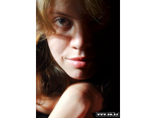 ����������...