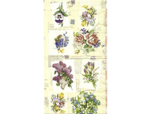 №24    1/2 ��������   10 �  �����������