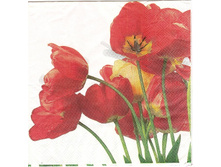 № 28     8�        1/4