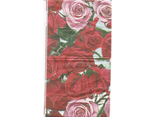 №29      1/2 ��������     5 �