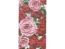 №29 ������ �������