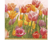 № 30       10 �            1/4