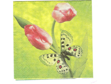 № 36      3 �       1/4