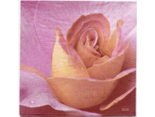 № 37      5�    1/4