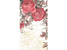 №38     1/2 ��������      ���