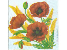 №40     3�    1/4