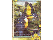 № 45 ������ ������� ���