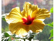 ��������� ������