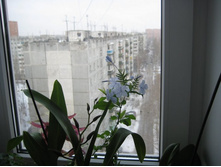 IMG_5156.JPG